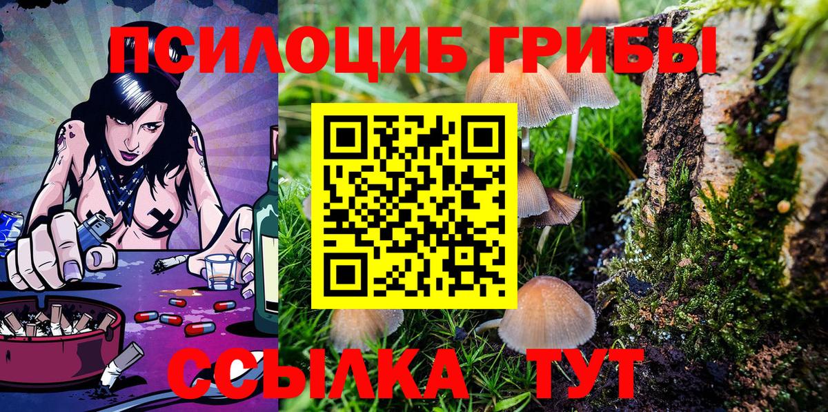 Галлюциногенные грибы GOLDEN TEACHER Ачхой-Мартан