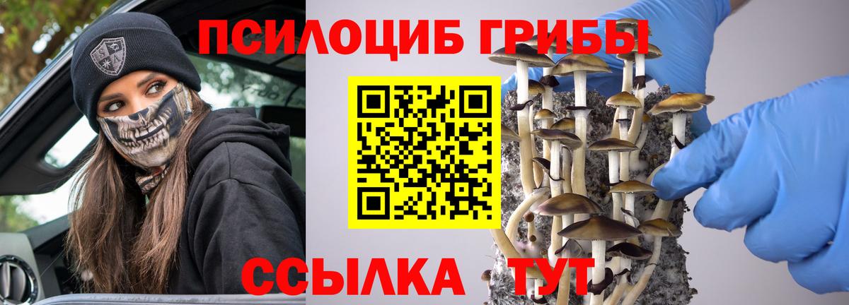 Галлюциногенные грибы Magic Shrooms Ачхой-Мартан