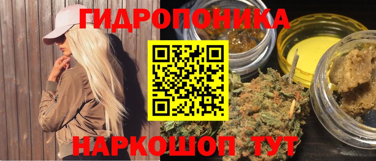 Каннабис марихуана Ачхой-Мартан